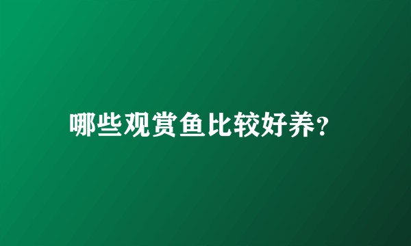 哪些观赏鱼比较好养？