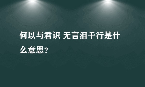 何以与君识 无言泪千行是什么意思？