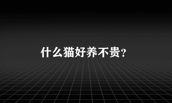 什么猫好养不贵？