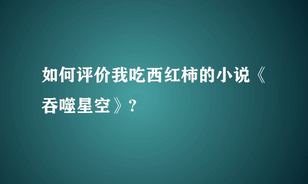 如何评价我吃西红柿的小说《吞噬星空》?