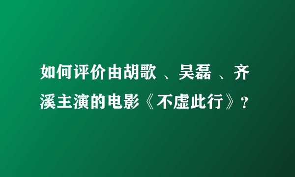 如何评价由胡歌 、吴磊 、齐溪主演的电影《不虚此行》？