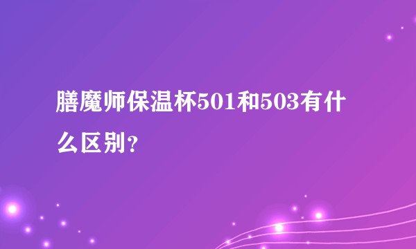 膳魔师保温杯501和503有什么区别？