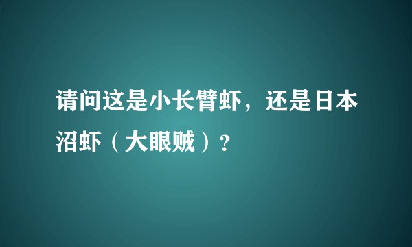 请问这是小长臂虾，还是日本沼虾（大眼贼）？