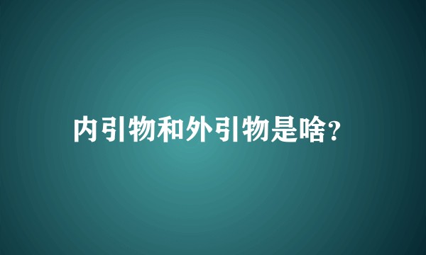 内引物和外引物是啥？