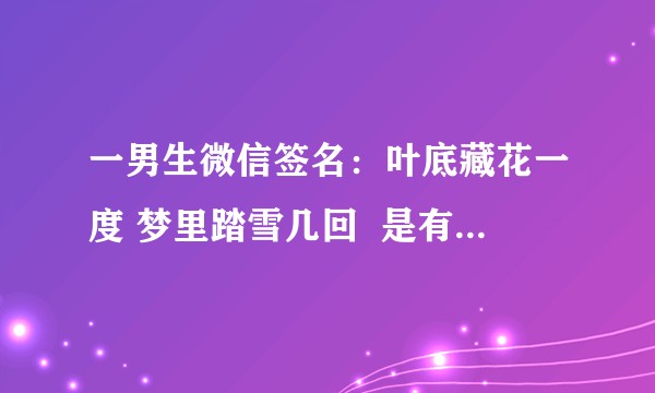 一男生微信签名：叶底藏花一度 梦里踏雪几回  是有什么寓意？
