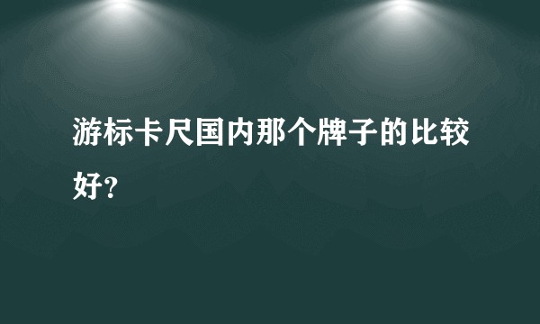 游标卡尺国内那个牌子的比较好？