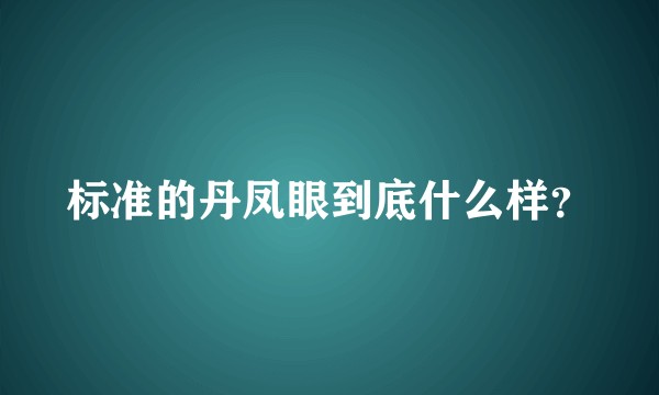 标准的丹凤眼到底什么样？