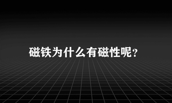 磁铁为什么有磁性呢？
