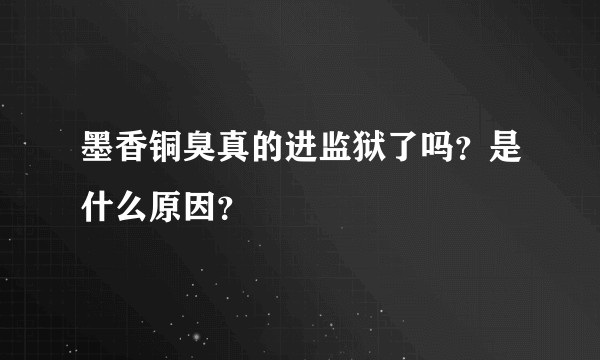 墨香铜臭真的进监狱了吗？是什么原因？