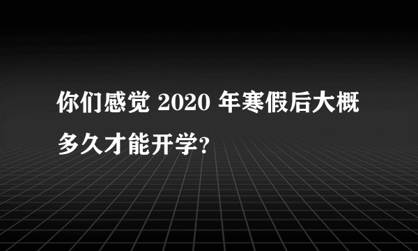 你们感觉 2020 年寒假后大概多久才能开学？