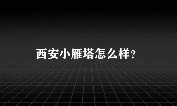 西安小雁塔怎么样？
