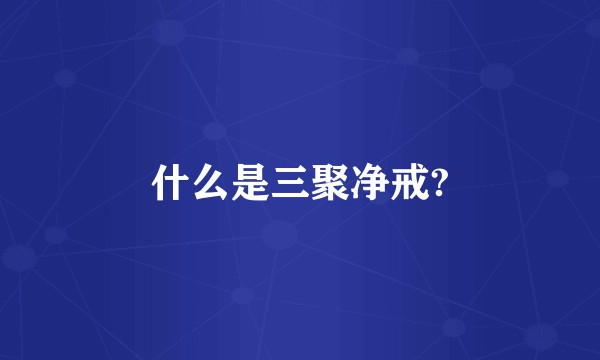什么是三聚净戒?