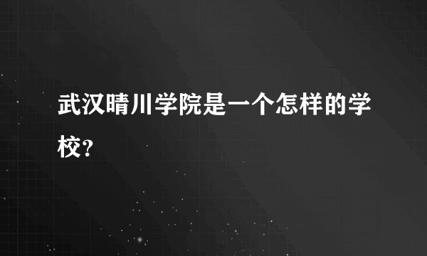 武汉晴川学院是一个怎样的学校?