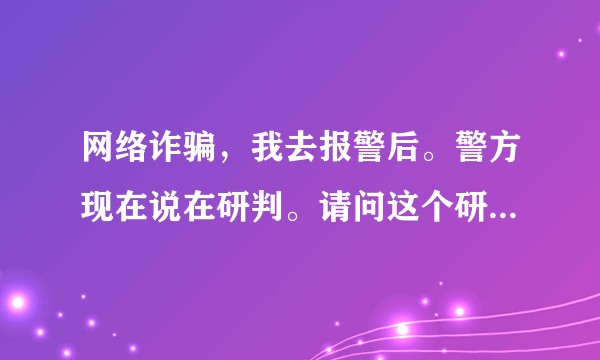 网络诈骗，我去报警后。警方现在说在研判。请问这个研判是什么意思？