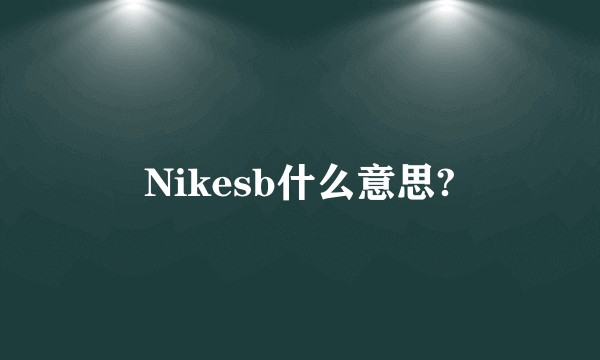 Nikesb什么意思?