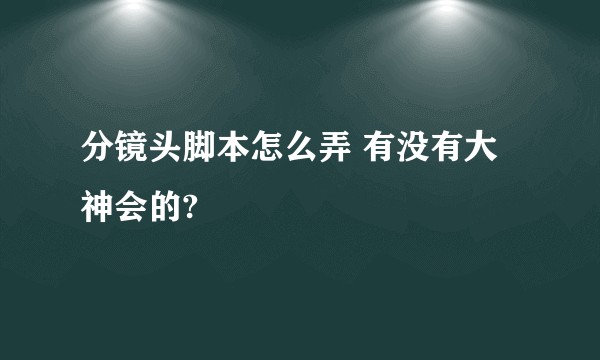 分镜头脚本怎么弄 有没有大神会的?