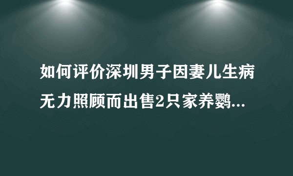 如何评价深圳男子因妻儿生病无力照顾而出售2只家养鹦鹉，被判5年？