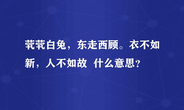茕茕白兔，东走西顾。衣不如新，人不如故  什么意思？