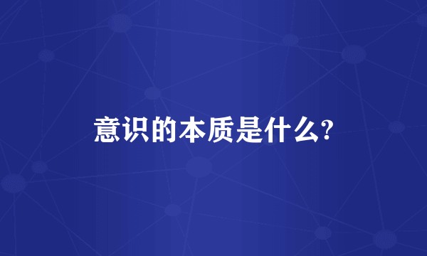 意识的本质是什么?