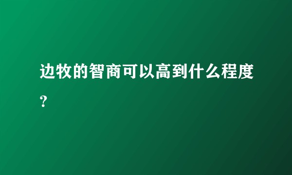 边牧的智商可以高到什么程度?
