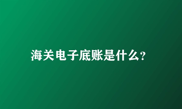 海关电子底账是什么？