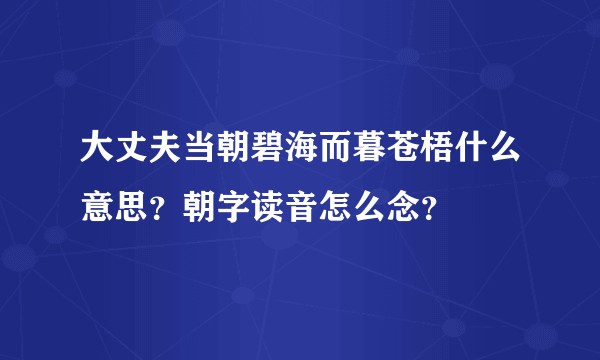 大丈夫当朝碧海而暮苍梧什么意思?朝字读音怎么念?