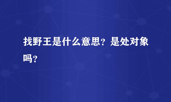 找野王是什么意思？是处对象吗？