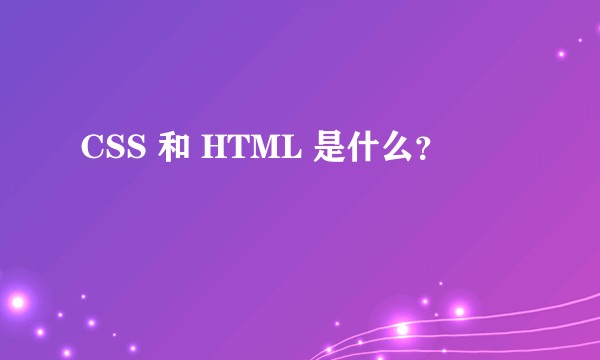 CSS 和 HTML 是什么？