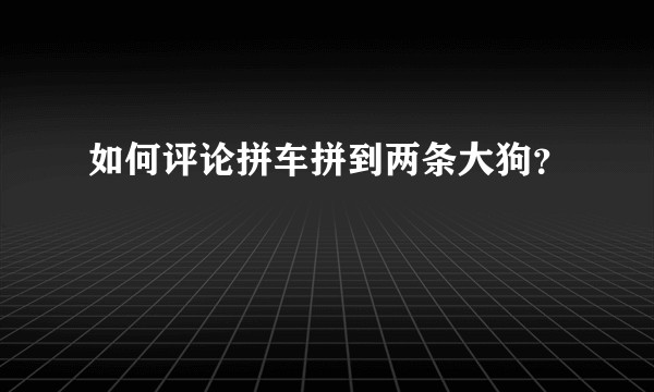 如何评论拼车拼到两条大狗？