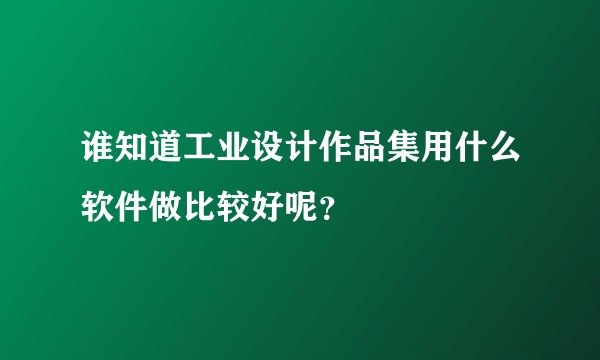 谁知道工业设计作品集用什么软件做比较好呢？