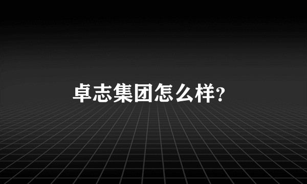 卓志集团怎么样？