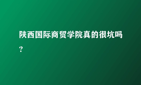 陕西国际商贸学院真的很坑吗？