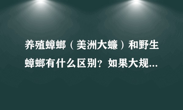 养殖蟑螂（美洲大蠊）和野生蟑螂有什么区别？如果大规模释放会对周边环境造成哪些危害？