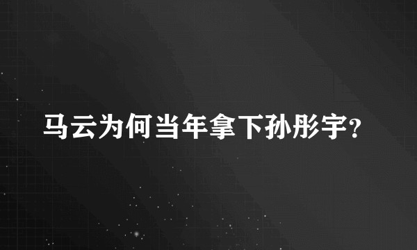 马云为何当年拿下孙彤宇？