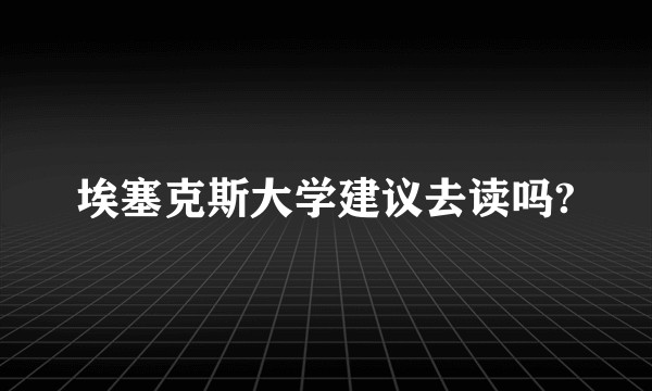 埃塞克斯大学建议去读吗?