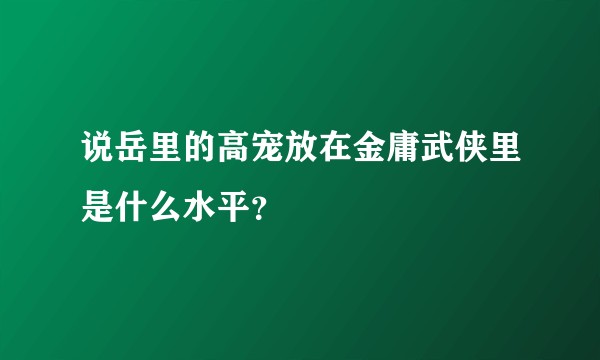 说岳里的高宠放在金庸武侠里是什么水平？