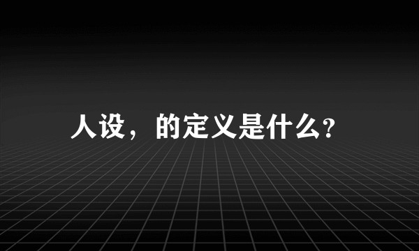人设，的定义是什么？