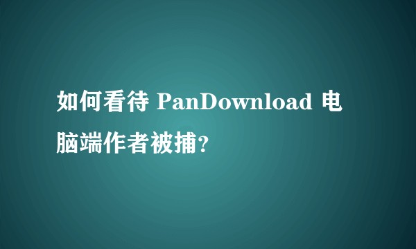 如何看待 PanDownload 电脑端作者被捕?