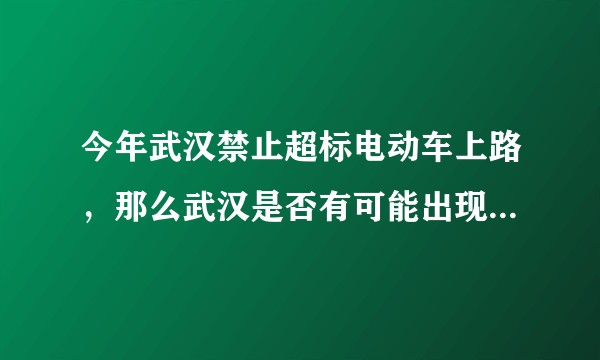 今年武汉禁止超标电动车上路，那么武汉是否有可能出现禁止自行车的地方政策？
