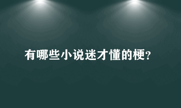 有哪些小说迷才懂的梗？