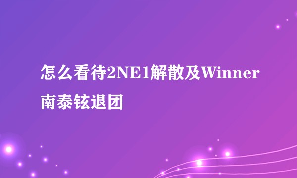 怎么看待2NE1解散及Winner南泰铉退团