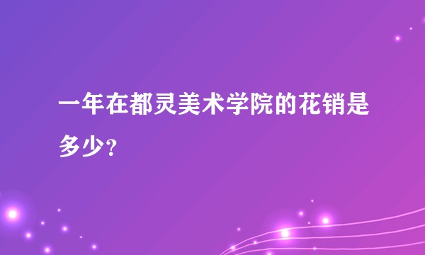 一年在都灵美术学院的花销是多少？