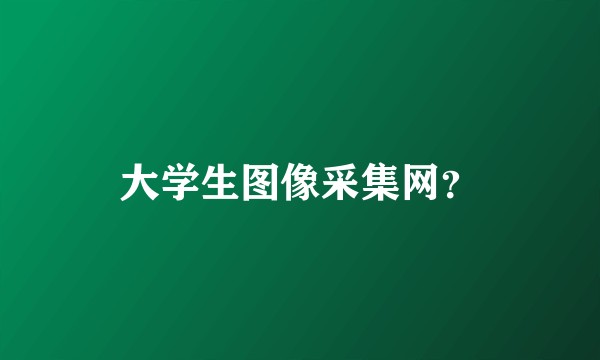 大学生图像采集网？