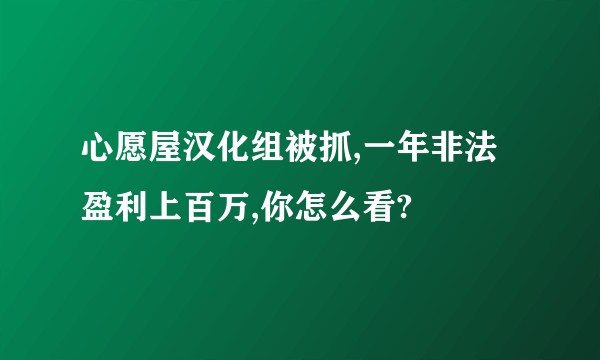 心愿屋汉化组被抓,一年非法盈利上百万,你怎么看?