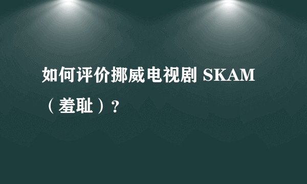 如何评价挪威电视剧 SKAM（羞耻）？