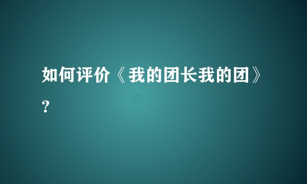 如何评价《我的团长我的团》？