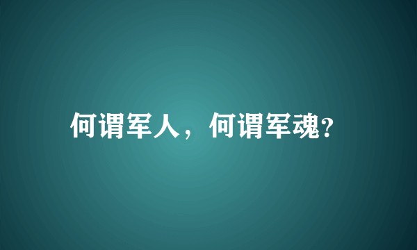 何谓军人,何谓军魂?