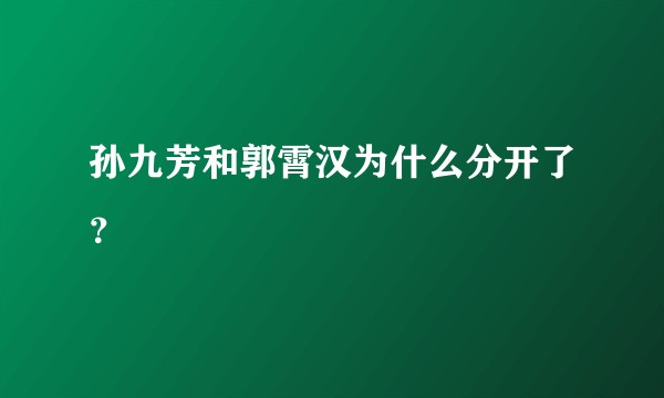 孙九芳和郭霄汉为什么分开了？
