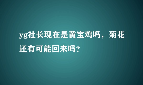yg社长现在是黄宝鸡吗，菊花还有可能回来吗？