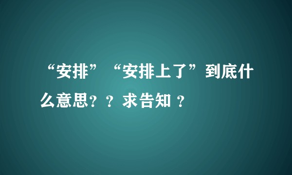 “安排”“安排上了”到底什么意思？？求告知 ？